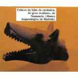 Click para ampliar. Pulsa en el nombre para ver la ficha. Cabeza de lobo de Numancia